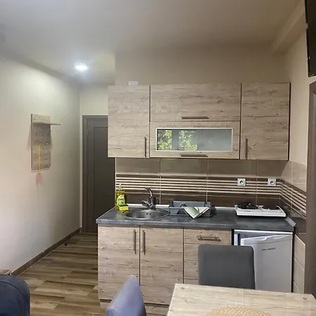 Apartment Sanja Sokobanja