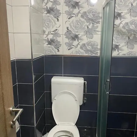 Apartment Sanja Sokobanja